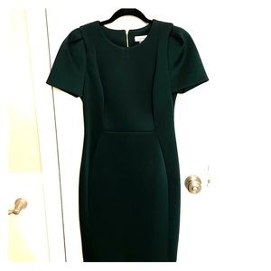 Calvin Klein Hunter Green Dress